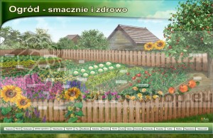 Magnetická tabuľa ZÁHRADA - CHUTNE A ZDRAVO