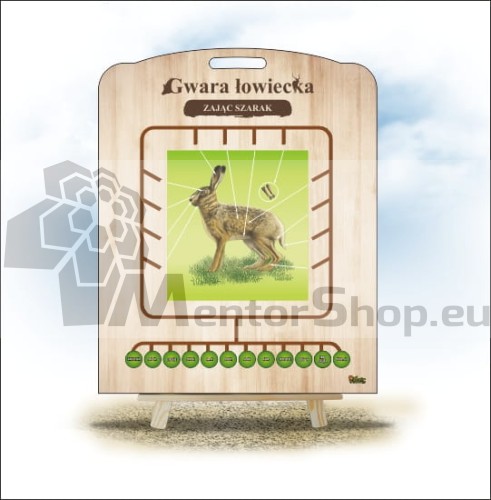 Zajac poľný – Poľovnícke názvoslovie – Labyrinty vedomostí - AVERS