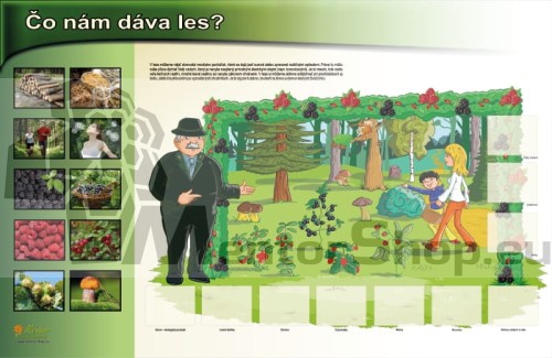MAGNETICKÁ TABUĽA „ČO NÁM DÁVA LES“