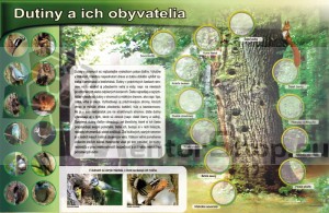 Magnetická tabuľa - DUTINY A ICH OBYVATELIA