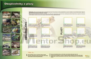 Magnetická tabuľa - OBOJŽIVELNÍKY A PLAZY
