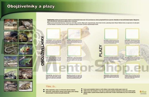 MAGNETICKÁ TABUĽA „HADY A OBOJŽIVELNÍKY“