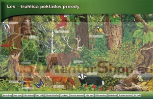 Magnetická tabuľa LES - TRUHLICA POKLADOV PRÍRODY