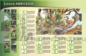Magnetická tabuľa - LESNÁ ABECEDA