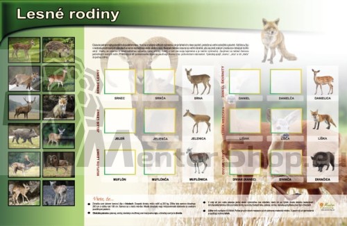 MAGNETICKÁ TABUĽA – LESNÉ RODINY