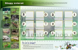 Magnetická tabuľa - STOPY ZVIERAT