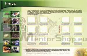 Magnetická tabuľa - UŽITOČNÝ A ŠKODLIVÝ HMYZ