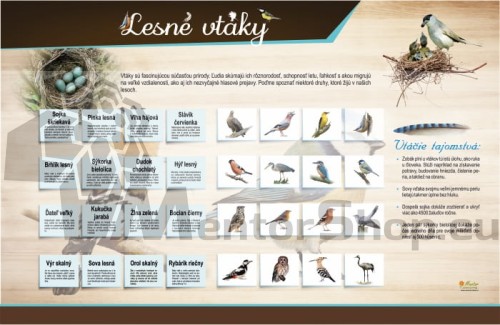 MAGNETICKÁ TABUĽA „LESNÉ VTÁKY“