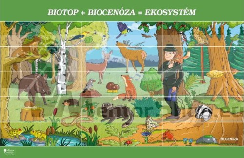 Magnetická tabuľa – „Biotop + Biocenóza = Ekosystém“