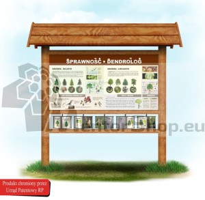 Schopnosti DENDROLÓGA 