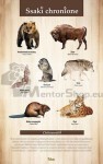 Náučná tabuľa - CHRÁNENÉ CICAVCE 