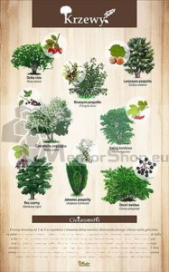 Náučná tabuľa - KRY