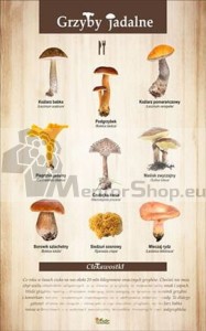 Náučná tabuľa - JEDLÉ HUBY