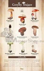 Náučná tabuľa - JEDOVATÉ HUBY