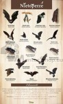 Náučná tabuľa - NETOPIERE