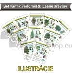 Kufrík vedomostí - LESNÉ DREVINY (ilustrovaná verzia)