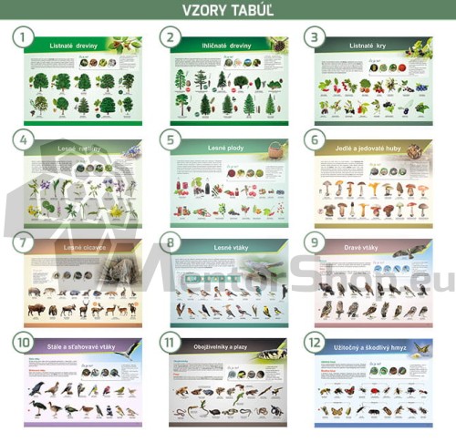 zestaw 12 tablic.jpg