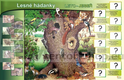 Leśne przedszkole - lato-jesień.jpg