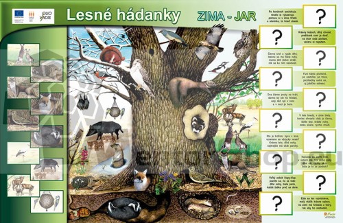 TABLICA MAGNETYCZNA LEŚNE PRZEDSZKOLE ZIMA-WIOSNA.jpg