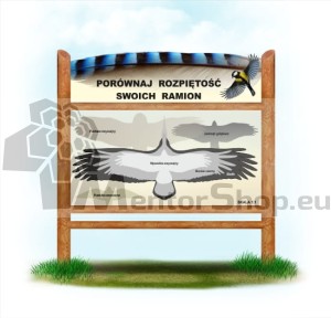 POROVNAJ ROZPÄTIE KRÍDEL S ROZPAŽENÍM SVOJICH RÚK