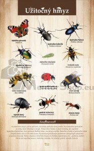 Náučná tabuľa - UŽITOČNÝ HMYZ