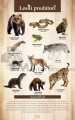 Lesní predátori.jpg