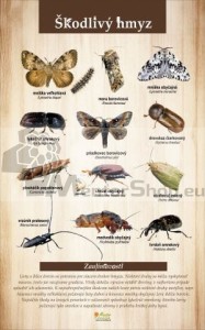 Náučná tabuľa - ŠKODLIVÝ HMYZ