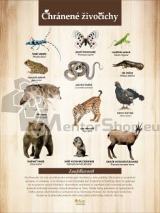 Náučná tabuľa - CHRÁNENÉ ŽIVOČÍCHY