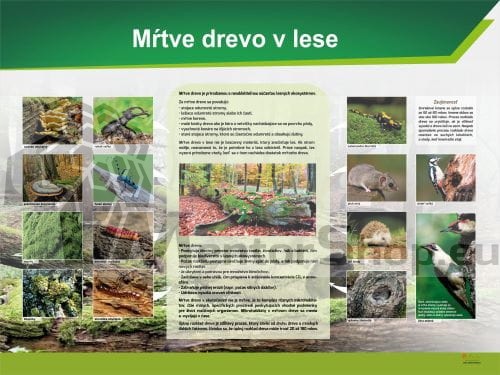 Náučná tabuľa - Mŕtve drevo v lese.jpg