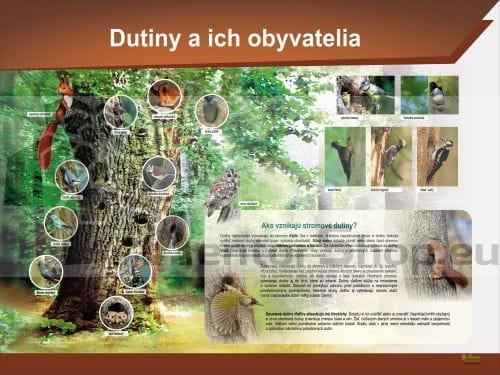 Náučná tabuľa - Dutiny a ich obyvatelia.jpg