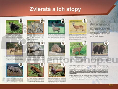Náučná tabuľa - Zvieratá a ich stopy.jpg