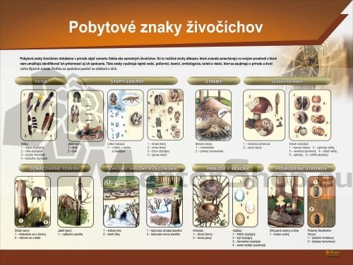 Náučná tabuľa - Pobytové znaky živočíchov.jpg
