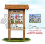 Lesné puzzle - VLASTNÉ FOTO