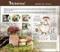 Náučná tabuľa - Mykoríza.jpg