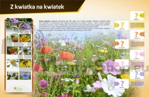 Magnetická tabuľa - Z KVETU NA KVET