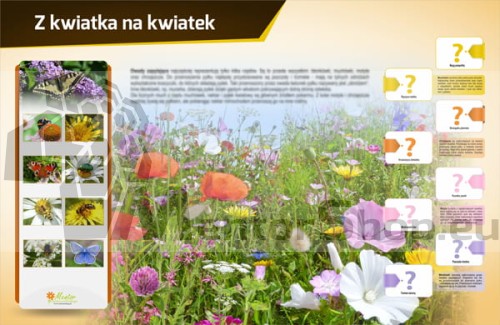 Magnetická tabuľa - Z kvetu na kvet