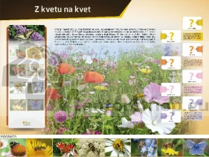 Magnetická tabuľa - Z KVETU NA KVET