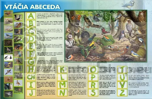 Magnetická tabuľa - Vtáčia abeceda
