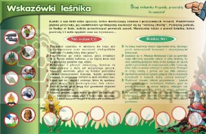 Magnetická tabuľa - POKYNY LESNÍKA