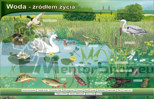 Magnetická tabuľa „Voda – zdroj života“