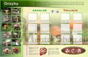 Magnetická tabuľa - JEDLÉ A JEDOVATÉ HUBY