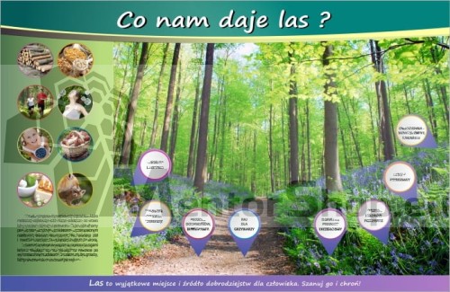 MAGNETICKÁ TABUĽA „ČO NÁM DÁVA LES“