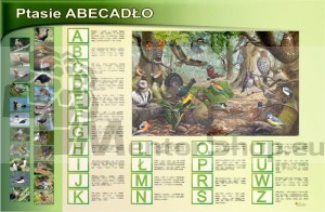 Magnetická tabuľa - VTÁČIA ABECEDA