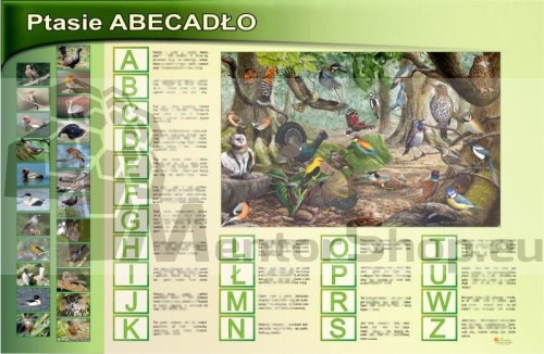 MAGNETICKÁ TABUĽA „VTÁČIA ABECEDA“