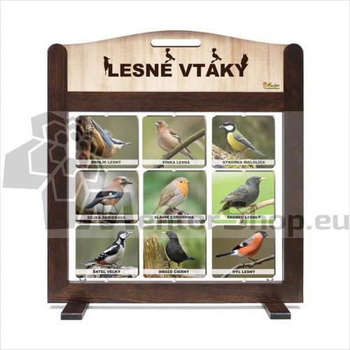 Prenosná hra "LESNÉ VTÁKY"