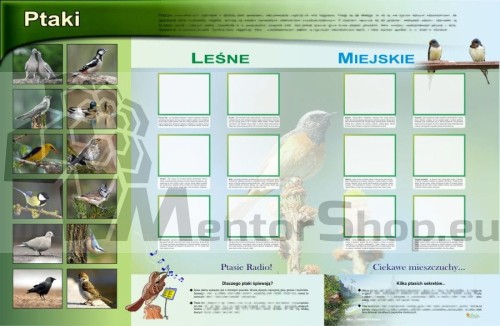 MAGNETICKÁ TABUĽA „VTÁKY V LESE A MESTE“